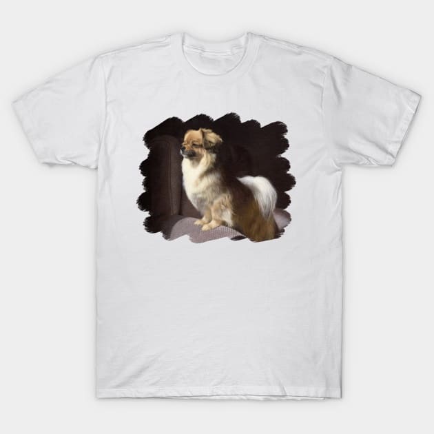 Tibetan Spaniel Painting T-Shirt by rachelstribbling